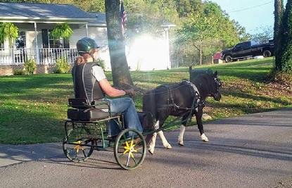 . Laura Ann Adams & Ellie driving around the neighborhood in the Aero Crown made by bellcrown miniature horse cart